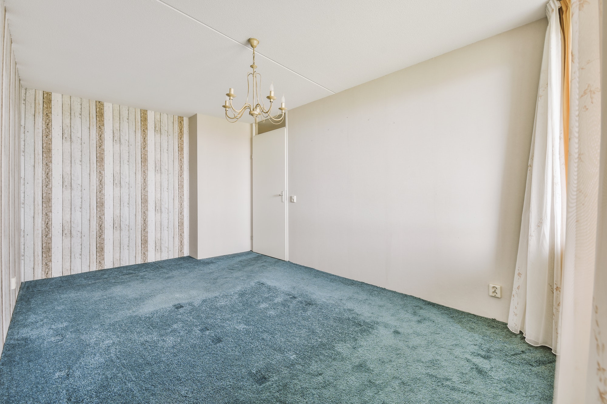 Spacious empty room with blue carpet